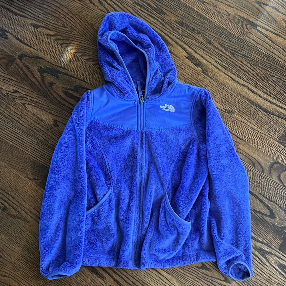 purple north face spring jacket.